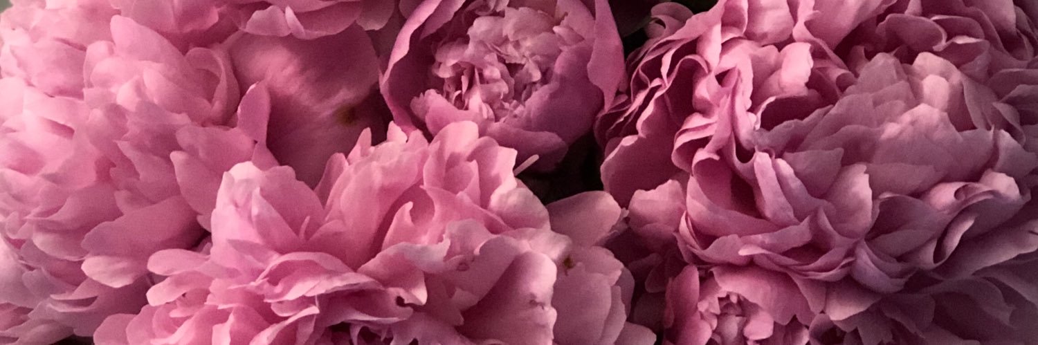 marinalindzi's profile banner image