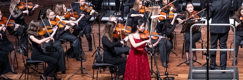 Reikaviolin's profile banner image