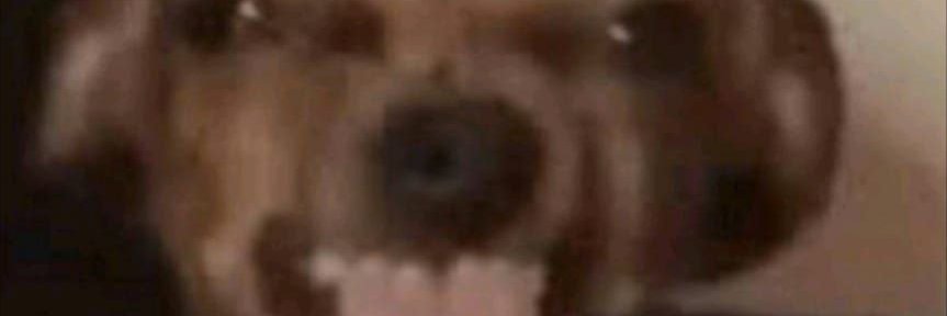 elduxi's profile banner image
