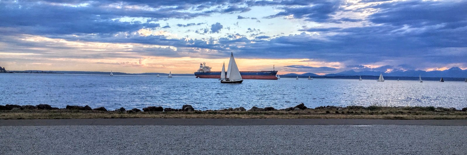 seekingseattle's profile banner image