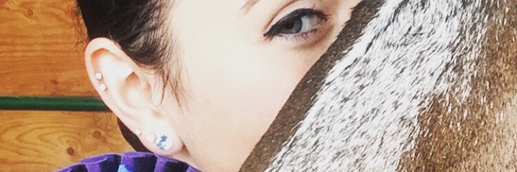Shelbi banner