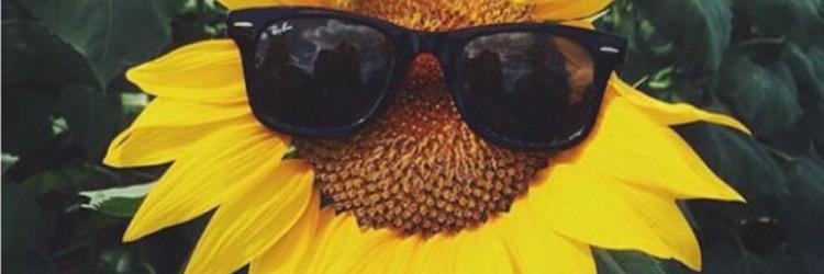 hearn_mary's profile banner image