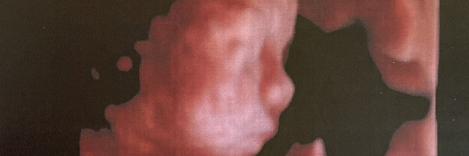ramireznoelia1's profile banner image
