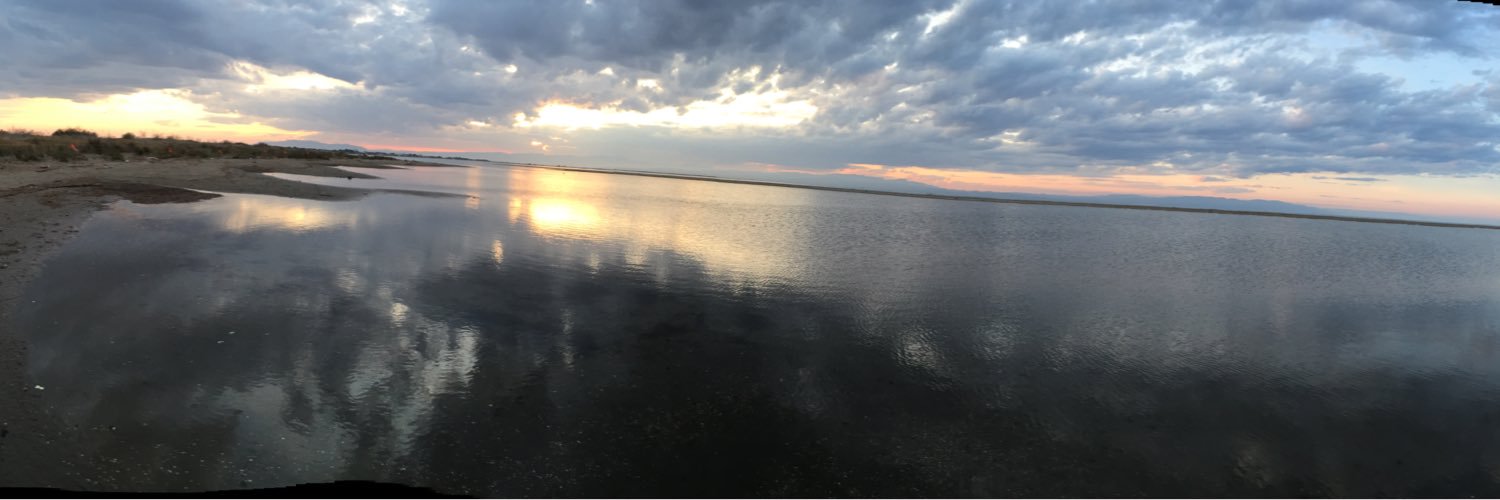 Pep Conatus🎗🏴󠁧󠁢󠁥󠁮󠁧󠁿 banner