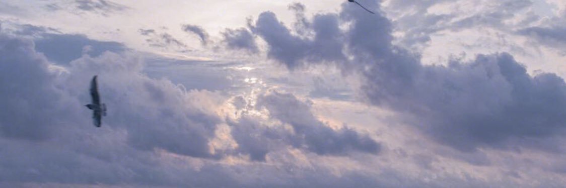 StayWithYeolli banner