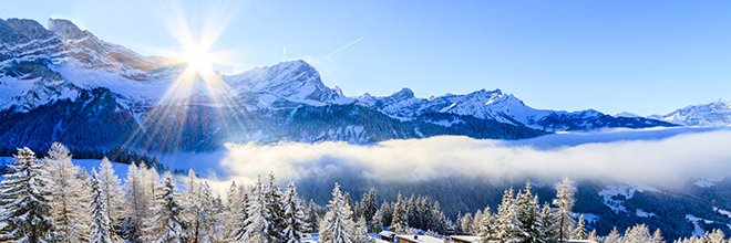 Matt Leisinger banner