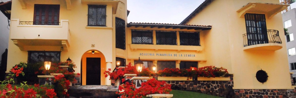 LavozdelaAcademia banner