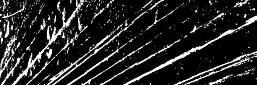 𝐃𝐕𝐂𝐄 🌲🏴‍☠️⚙️🗡️'s banner