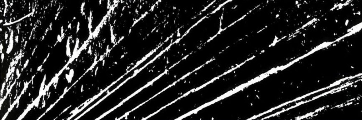 𝐃𝐕𝐂𝐄 🌲🏴‍☠️⚙️🗡️ banner