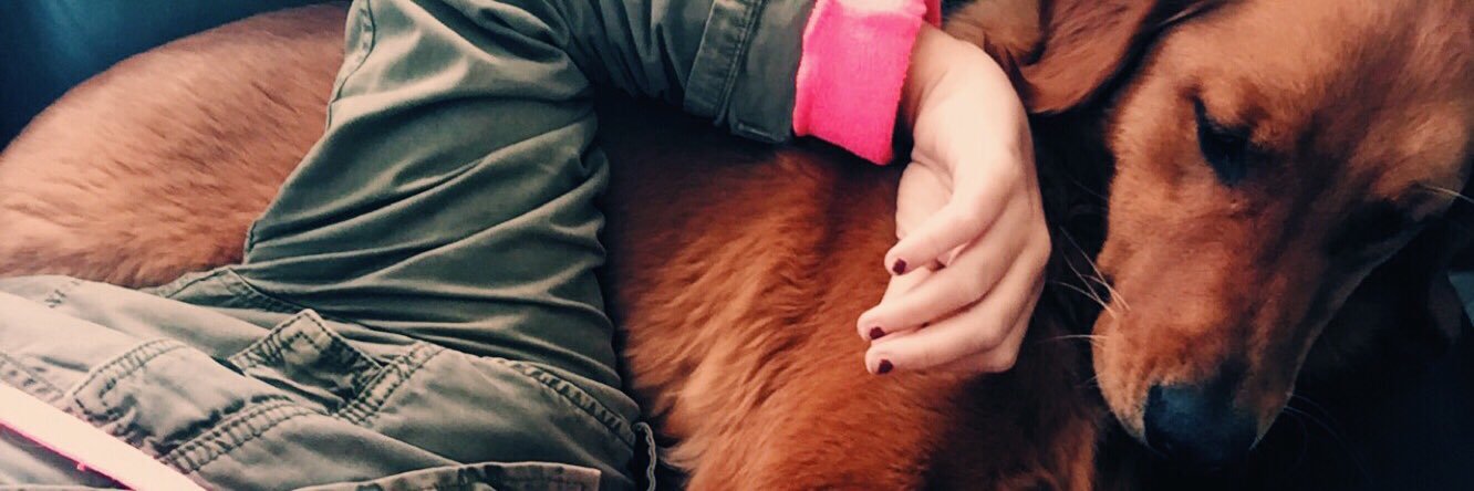 AmandaIrvingg's profile banner image