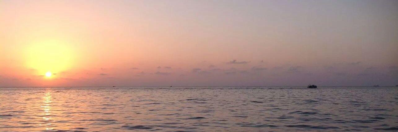 eeeevvaa's profile banner image