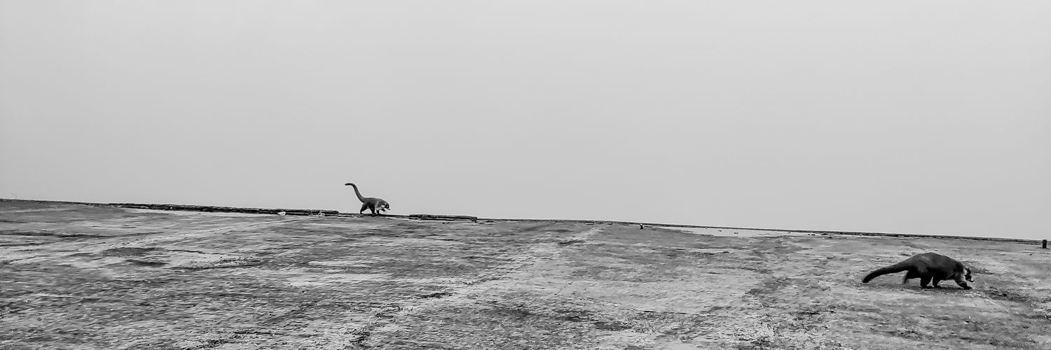 ivansh20's profile banner image