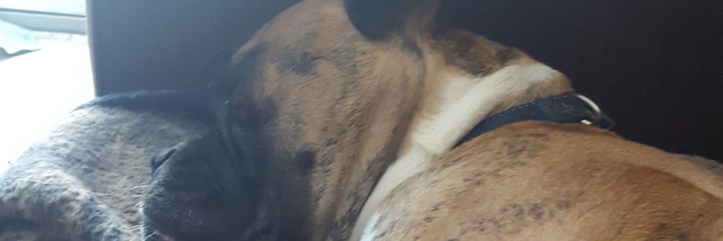 RussaulH's profile banner image