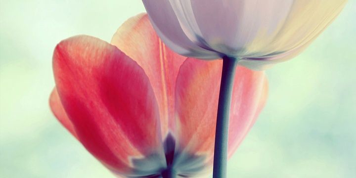viris2107's profile banner image