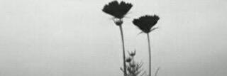 M143341's profile banner image