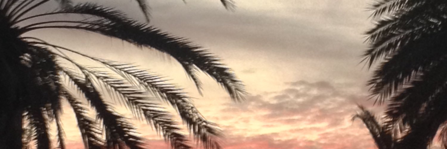 Luana banner