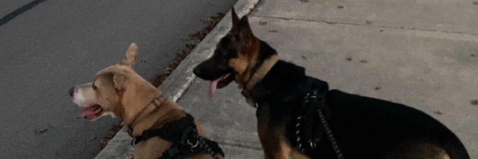 mandoC71's profile banner image