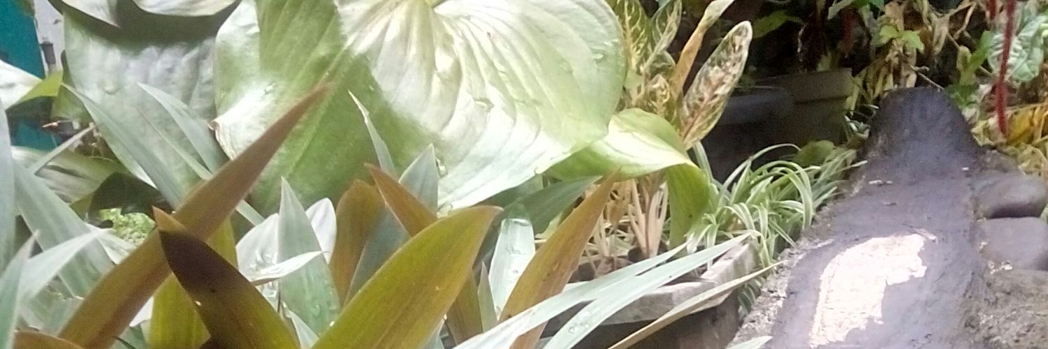 wakhid_why's profile banner image