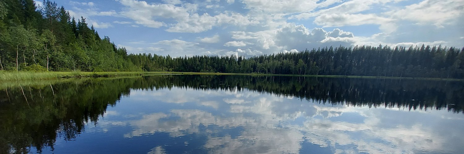 Kelly Hondula banner