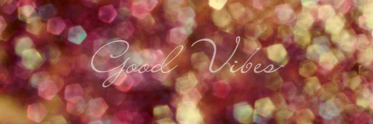 Aline Silva banner