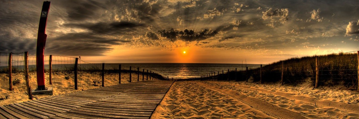 walld5566's profile banner image