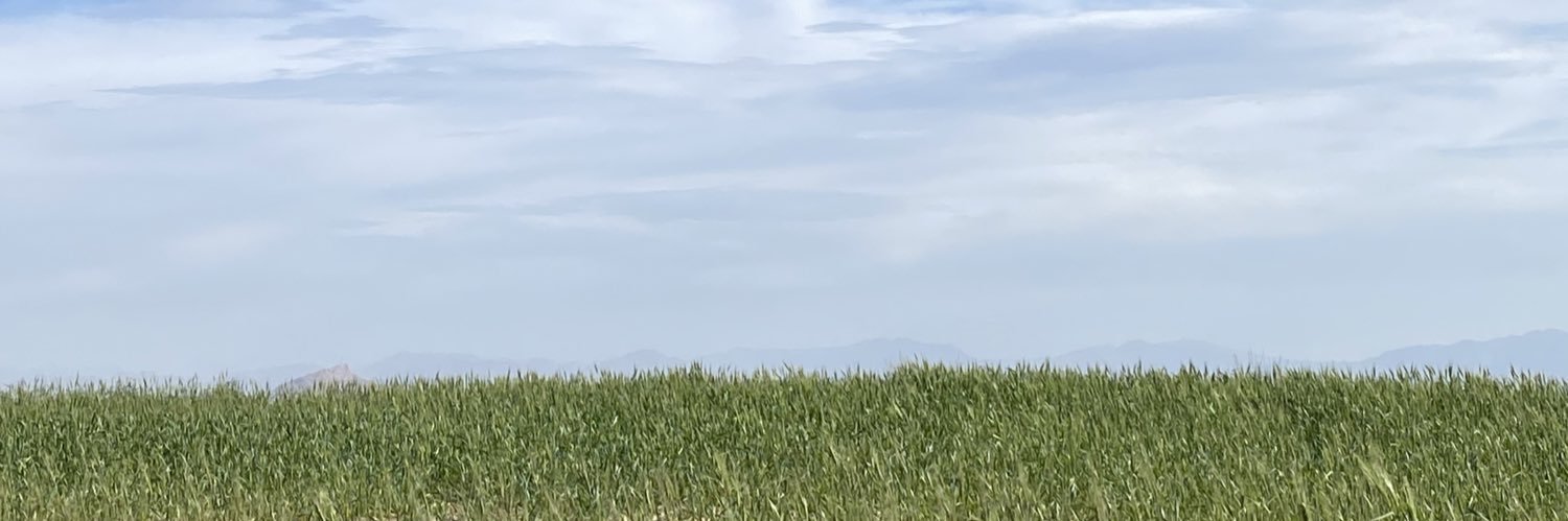 liespoir's profile banner image