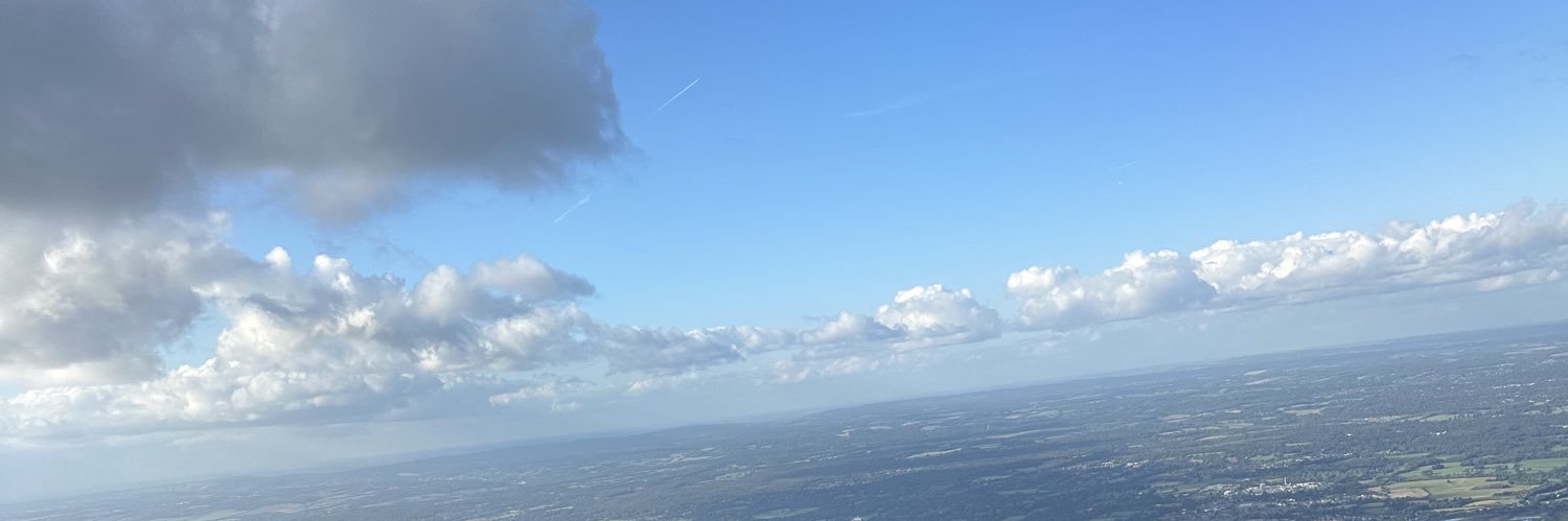 Asian American banner