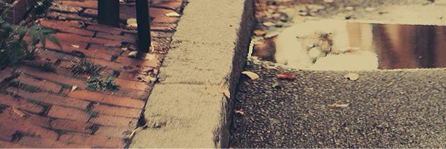 Stepashkahouse's profile banner image