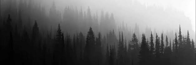 _André_Prates_ banner