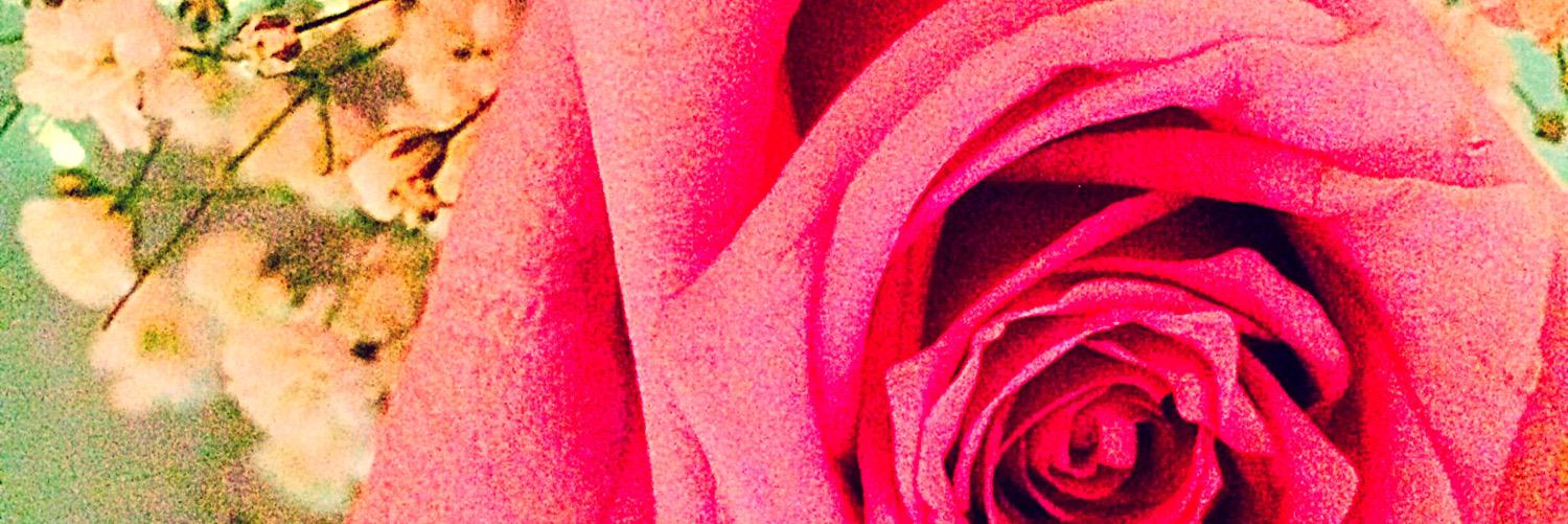 toriiismit's profile banner image