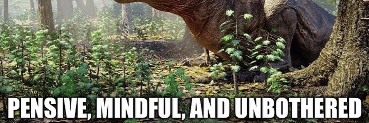 comradecowboyyy's profile banner image
