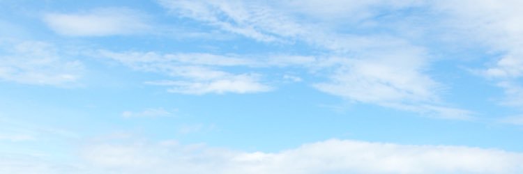 LilyChenLi's profile banner image