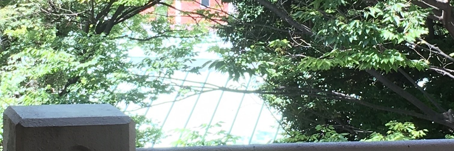 Junichi Endo（遠藤 淳一） banner