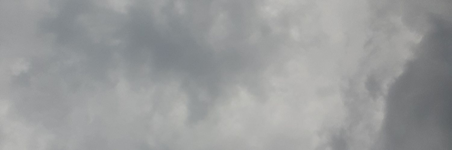 vikohpico's profile banner image