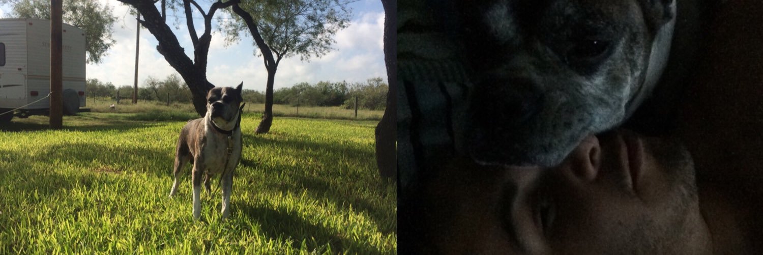 Diaz2h's profile banner image