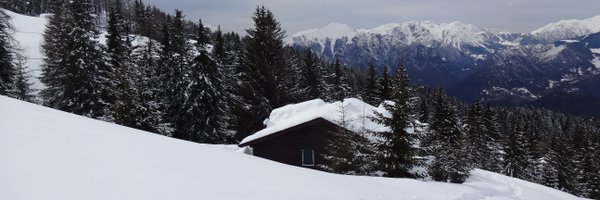 abertolucci6 Profile Banner