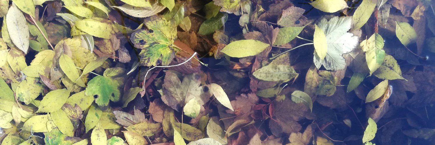 enthusemarc's profile banner image