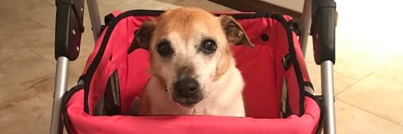 Robin Granzow banner