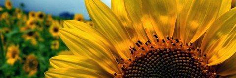 carerssupportWL's profile banner image