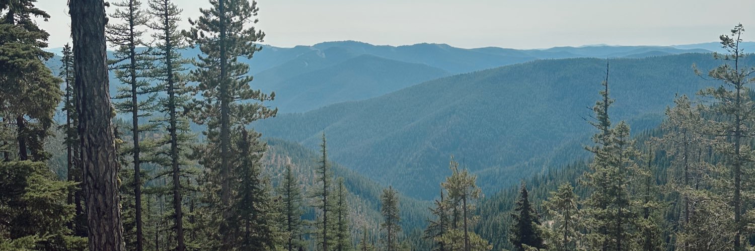 alisonaudr's profile banner image
