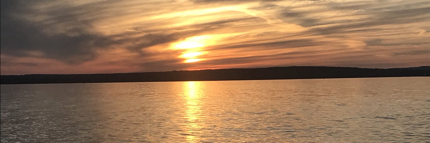 LizzyKalous's profile banner image