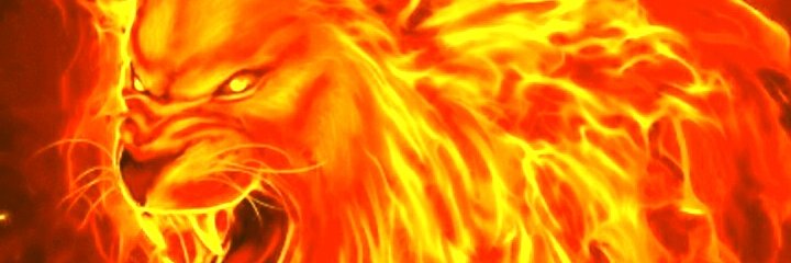 TJ KIMIORA banner