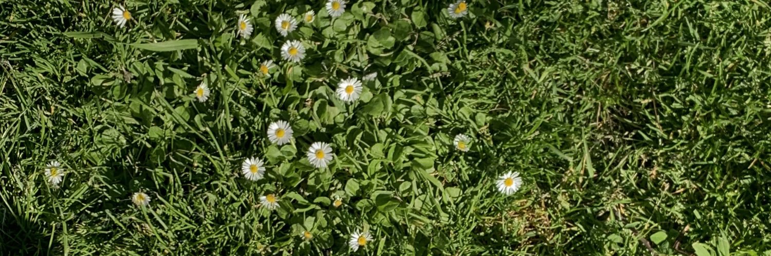 ningrumstin_'s profile banner image