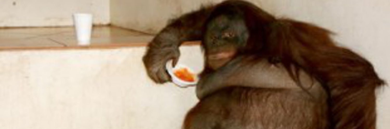 Killer Chimps from Outer Space! banner