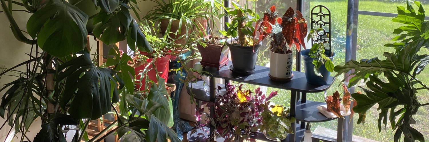 lindacraft77's profile banner image