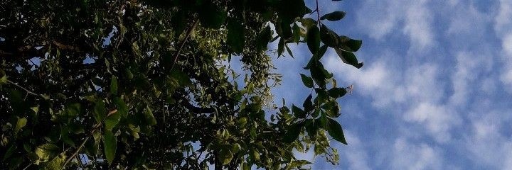 wmonns's profile banner image