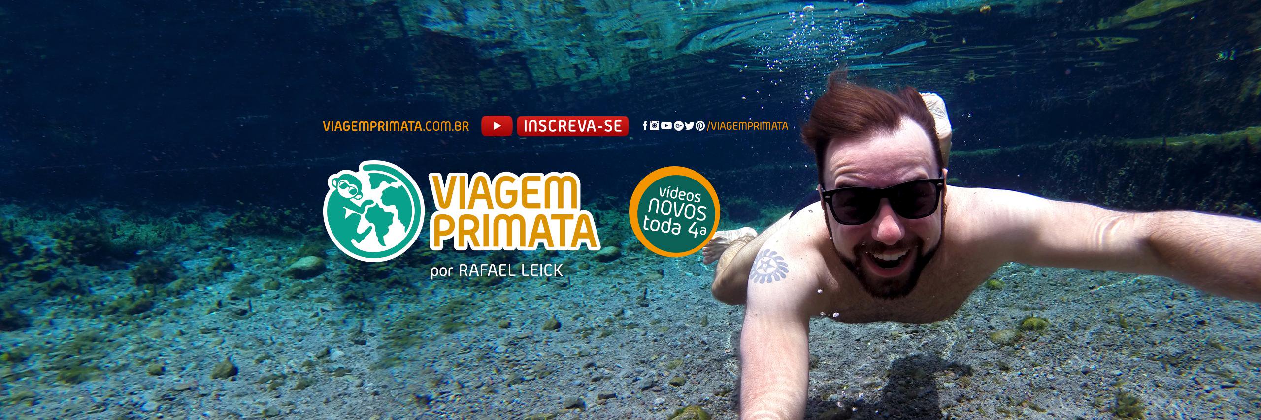 ViagemPrimata's profile banner image