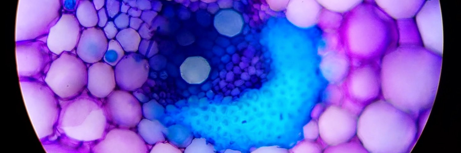 AlexUmbach's profile banner image