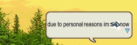 alt__Jackie's profile banner image