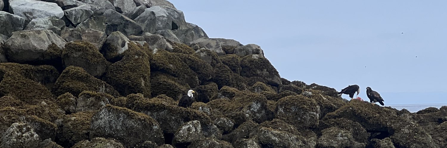 CrazyTw1tterLadyHopey banner